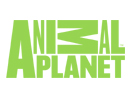 animal planet