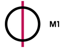 magyar_tv1