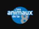 1_LES-ANIMAUX 1_LES-ANIMAUX