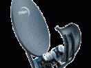 force-dish T55 wide angle