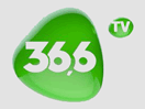 366-tv-ua
